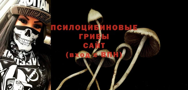 гидра Касимов
