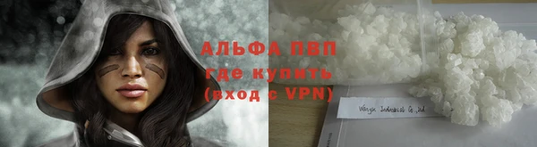 гидра Касимов