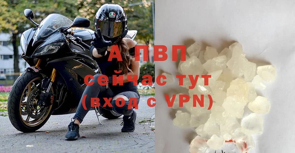 хмурый Карпинск